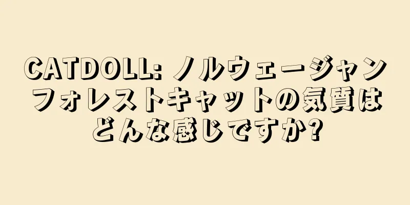 CATDOLL: ノルウェージャンフォレストキャットの気質はどんな感じですか?