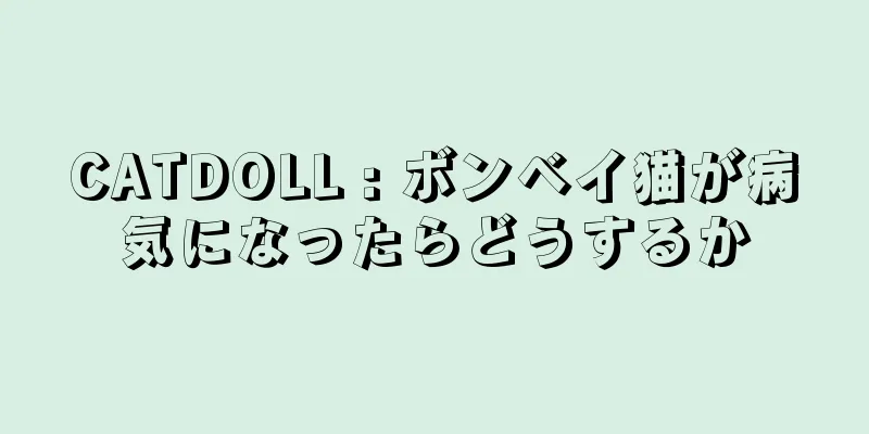 CATDOLL : ボンベイ猫が病気になったらどうするか