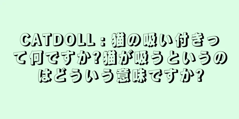 CATDOLL : 猫の吸い付きって何ですか?猫が吸うというのはどういう意味ですか?