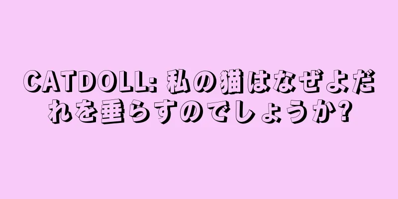 CATDOLL: 私の猫はなぜよだれを垂らすのでしょうか?