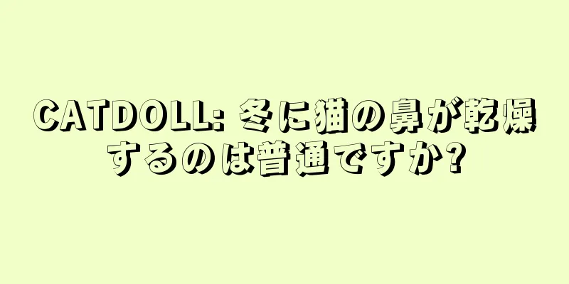 CATDOLL: 冬に猫の鼻が乾燥するのは普通ですか?