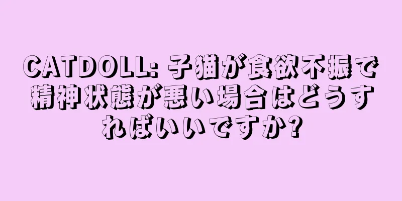CATDOLL: 子猫が食欲不振で精神状態が悪い場合はどうすればいいですか?
