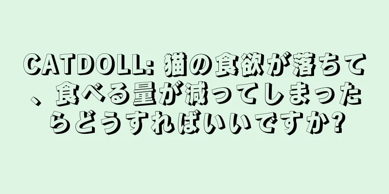 CATDOLL: 猫の食欲が落ちて、食べる量が減ってしまったらどうすればいいですか?