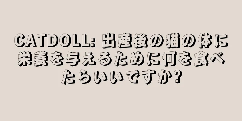 CATDOLL: 出産後の猫の体に栄養を与えるために何を食べたらいいですか?