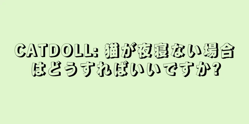 CATDOLL: 猫が夜寝ない場合はどうすればいいですか?