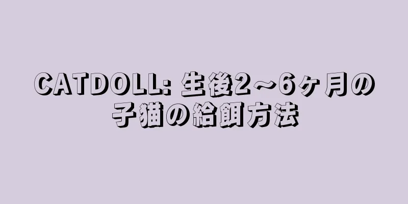 CATDOLL: 生後2～6ヶ月の子猫の給餌方法