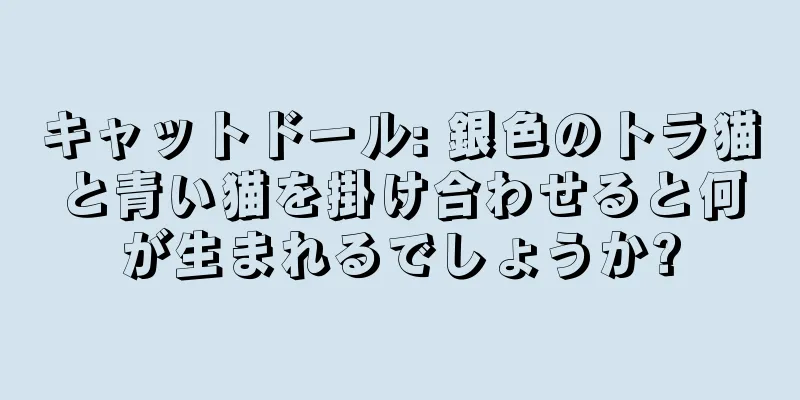 キャットドール: 銀色のトラ猫と青い猫を掛け合わせると何が生まれるでしょうか?