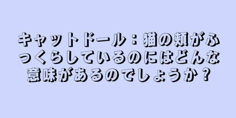 キャットドール：猫の頬がふっくらしているのにはどんな意味があるのでしょうか？