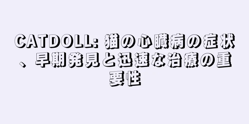 CATDOLL: 猫の心臓病の症状、早期発見と迅速な治療の重要性