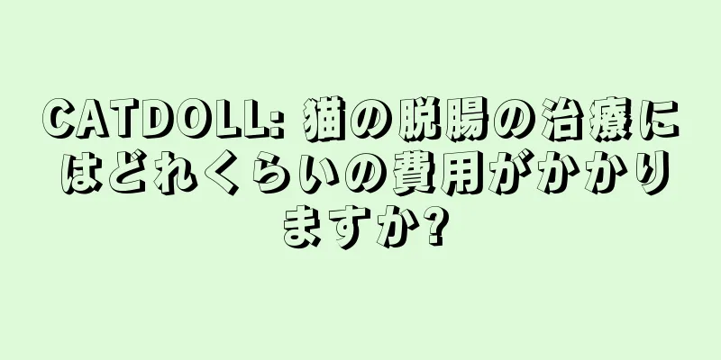 CATDOLL: 猫の脱腸の治療にはどれくらいの費用がかかりますか?