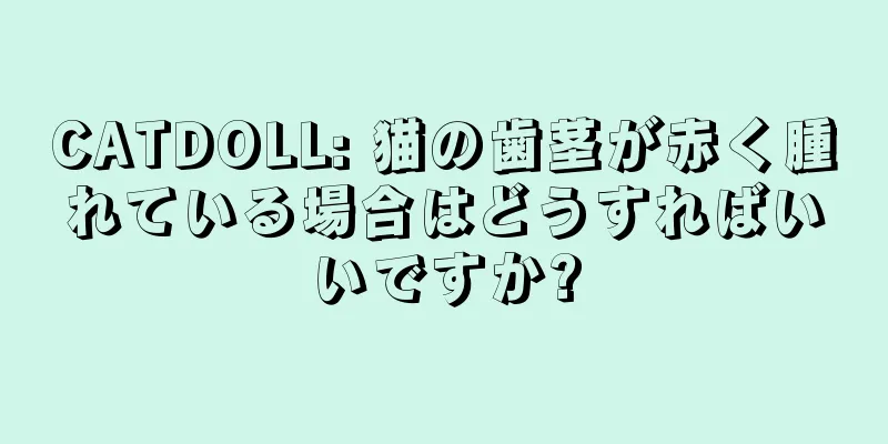 CATDOLL: 猫の歯茎が赤く腫れている場合はどうすればいいですか?