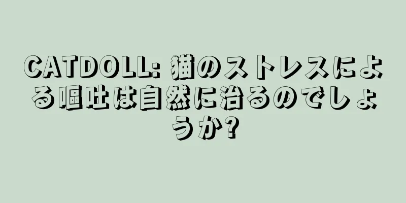 CATDOLL: 猫のストレスによる嘔吐は自然に治るのでしょうか?