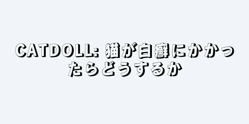 CATDOLL: 猫が白癬にかかったらどうするか