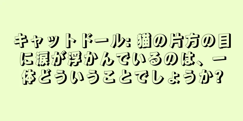 キャットドール: 猫の片方の目に涙が浮かんでいるのは、一体どういうことでしょうか?