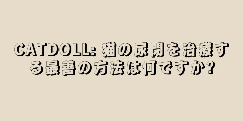 CATDOLL: 猫の尿閉を治療する最善の方法は何ですか?