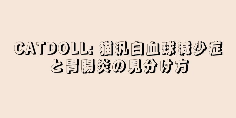 CATDOLL: 猫汎白血球減少症と胃腸炎の見分け方