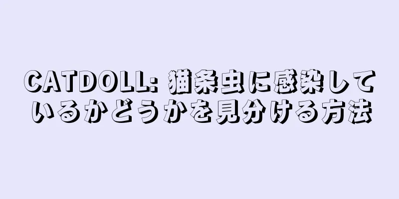 CATDOLL: 猫条虫に感染しているかどうかを見分ける方法