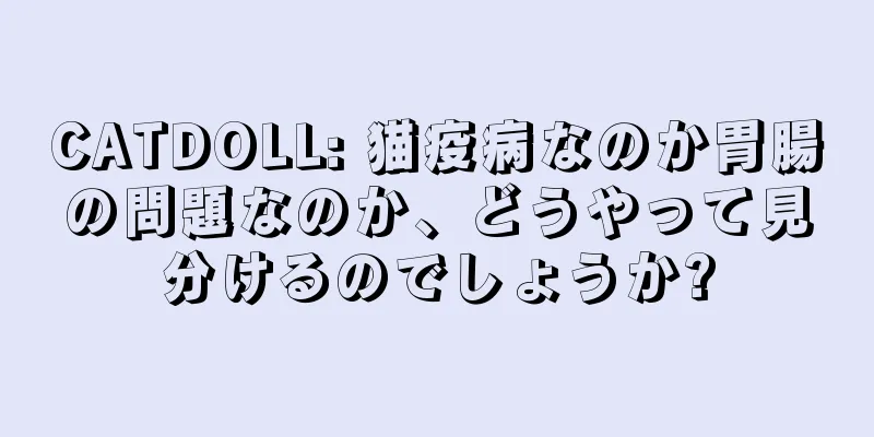 CATDOLL: 猫疫病なのか胃腸の問題なのか、どうやって見分けるのでしょうか?