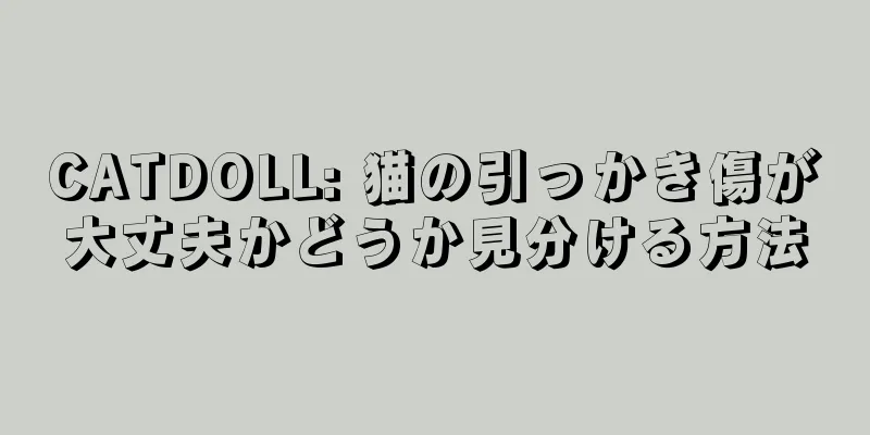 CATDOLL: 猫の引っかき傷が大丈夫かどうか見分ける方法