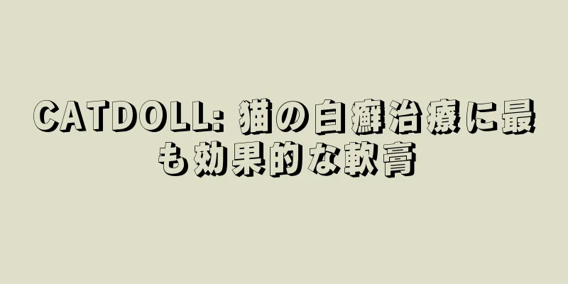 CATDOLL: 猫の白癬治療に最も効果的な軟膏