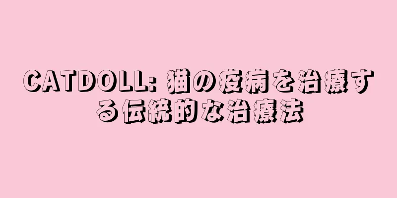 CATDOLL: 猫の疫病を治療する伝統的な治療法