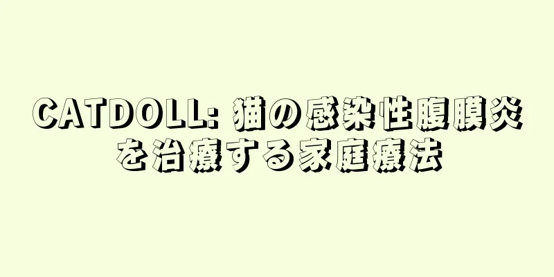CATDOLL: 猫の感染性腹膜炎を治療する家庭療法