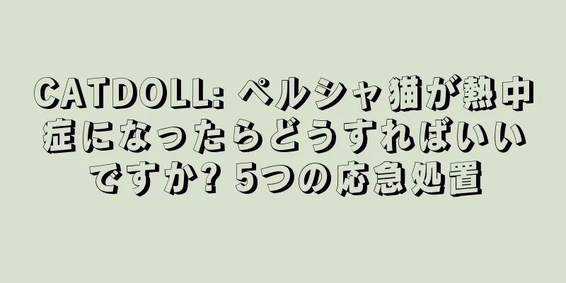 CATDOLL: ペルシャ猫が熱中症になったらどうすればいいですか? 5つの応急処置