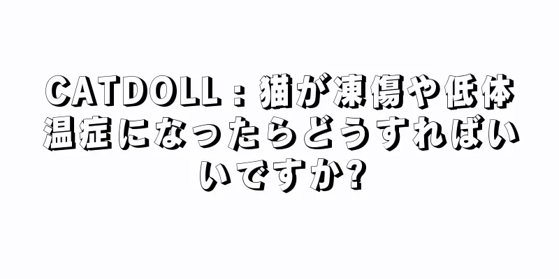 CATDOLL : 猫が凍傷や低体温症になったらどうすればいいですか?