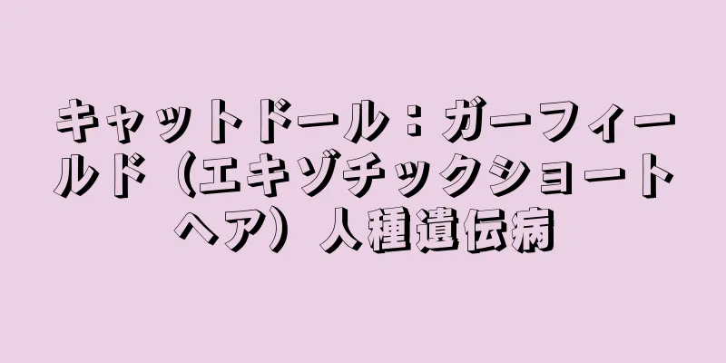 キャットドール：ガーフィールド（エキゾチックショートヘア）人種遺伝病