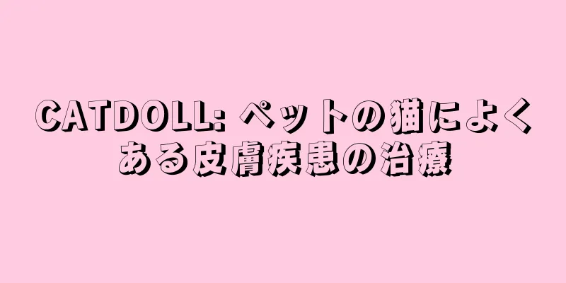 CATDOLL: ペットの猫によくある皮膚疾患の治療