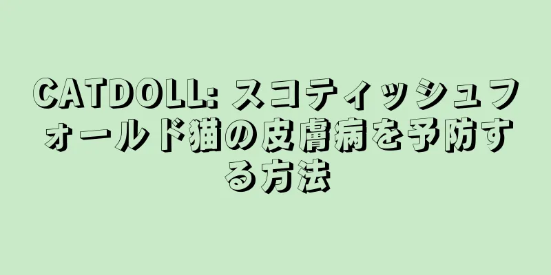 CATDOLL: スコティッシュフォールド猫の皮膚病を予防する方法