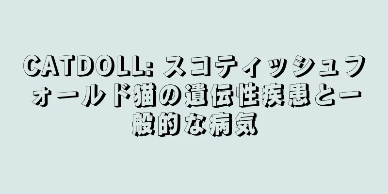 CATDOLL: スコティッシュフォールド猫の遺伝性疾患と一般的な病気