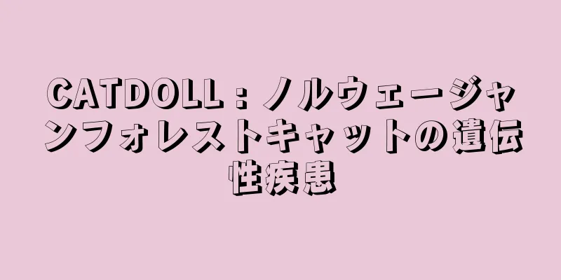 CATDOLL : ノルウェージャンフォレストキャットの遺伝性疾患