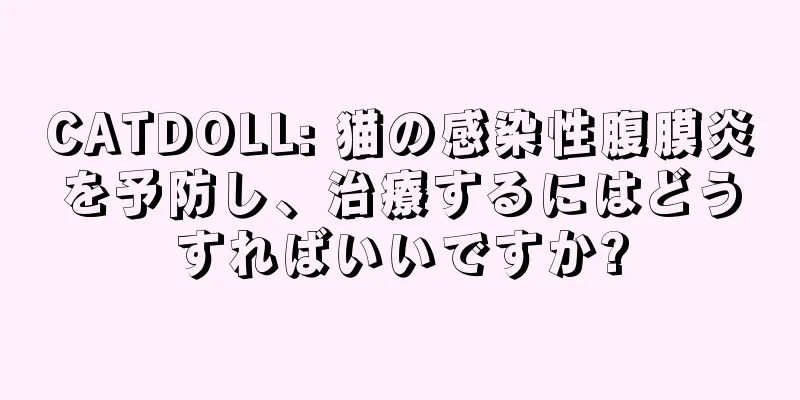 CATDOLL: 猫の感染性腹膜炎を予防し、治療するにはどうすればいいですか?