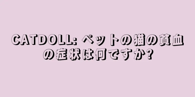 CATDOLL: ペットの猫の貧血の症状は何ですか?
