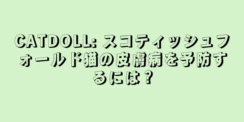 CATDOLL: スコティッシュフォールド猫の皮膚病を予防するには？