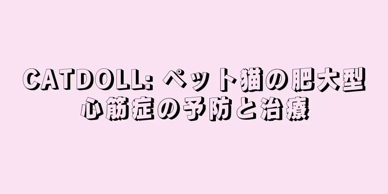 CATDOLL: ペット猫の肥大型心筋症の予防と治療