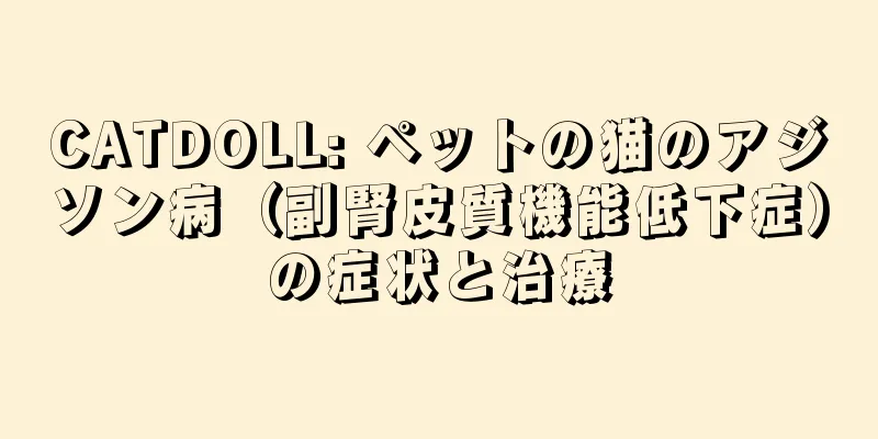 CATDOLL: ペットの猫のアジソン病（副腎皮質機能低下症）の症状と治療