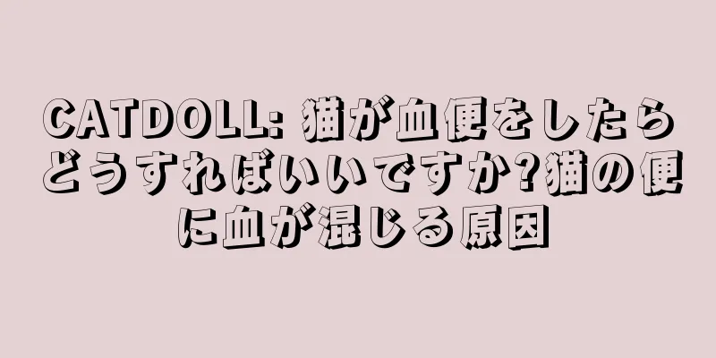 CATDOLL: 猫が血便をしたらどうすればいいですか?猫の便に血が混じる原因