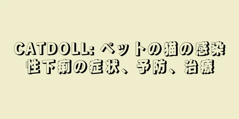 CATDOLL: ペットの猫の感染性下痢の症状、予防、治療
