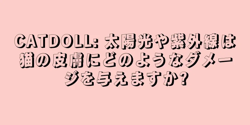CATDOLL: 太陽光や紫外線は猫の皮膚にどのようなダメージを与えますか?