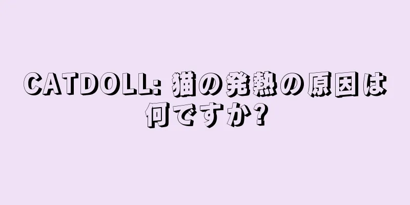 CATDOLL: 猫の発熱の原因は何ですか?