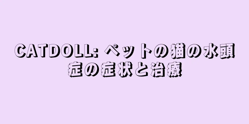 CATDOLL: ペットの猫の水頭症の症状と治療