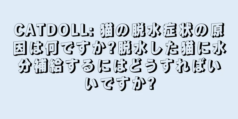 CATDOLL: 猫の脱水症状の原因は何ですか?脱水した猫に水分補給するにはどうすればいいですか?
