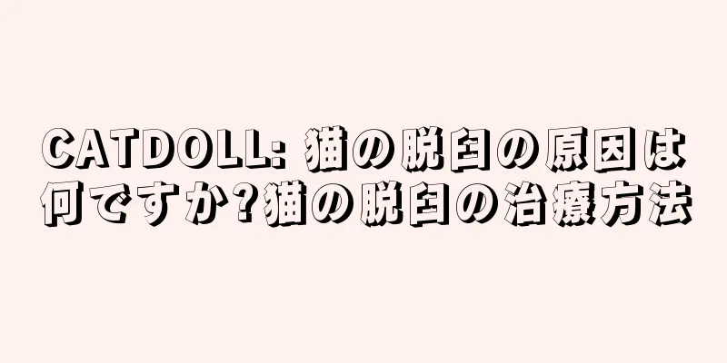 CATDOLL: 猫の脱臼の原因は何ですか?猫の脱臼の治療方法