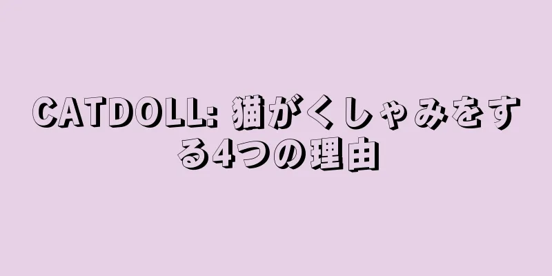 CATDOLL: 猫がくしゃみをする4つの理由