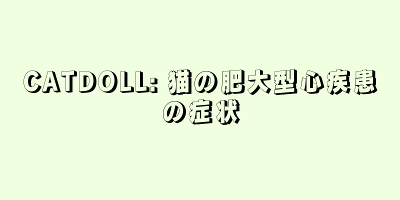 CATDOLL: 猫の肥大型心疾患の症状