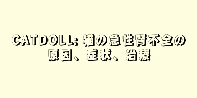 CATDOLL: 猫の急性腎不全の原因、症状、治療