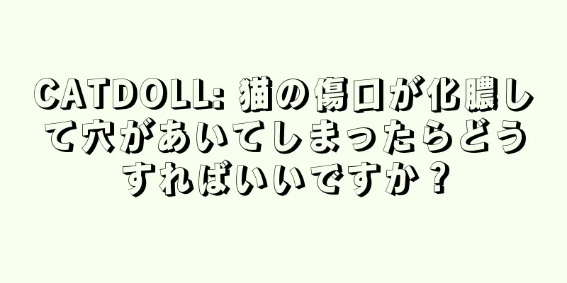 CATDOLL: 猫の傷口が化膿して穴があいてしまったらどうすればいいですか？