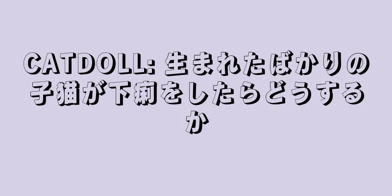 CATDOLL: 生まれたばかりの子猫が下痢をしたらどうするか